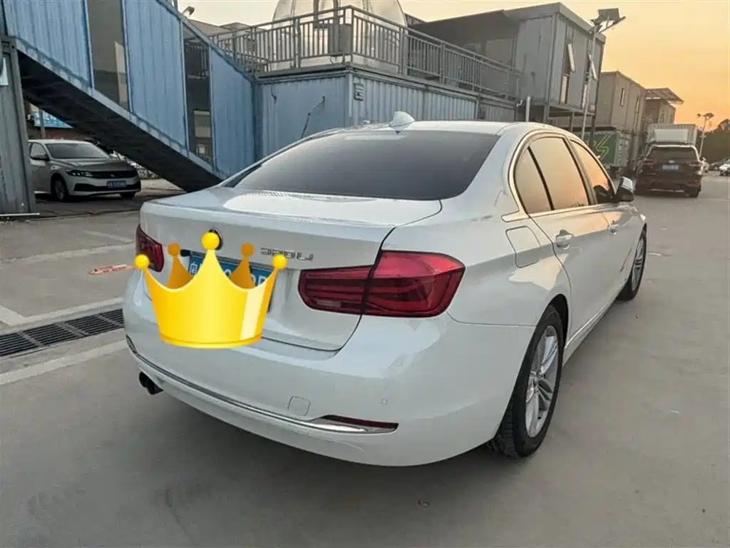 BMW 3 Series 2017 320Li Fashion фото 5