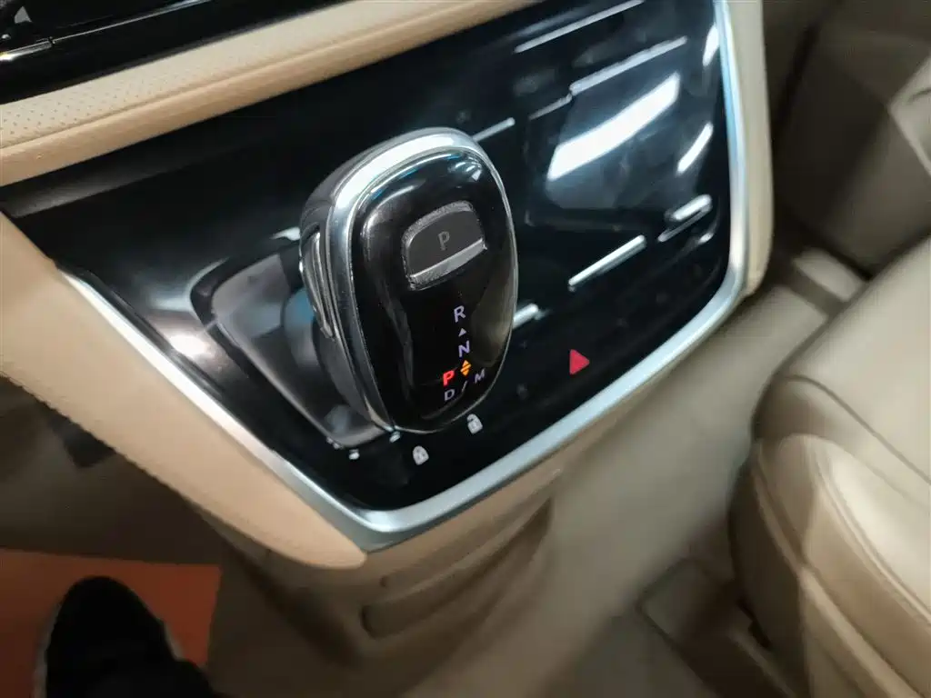 Buick GL8 2021 ES Landlord 653T Premium фото 10