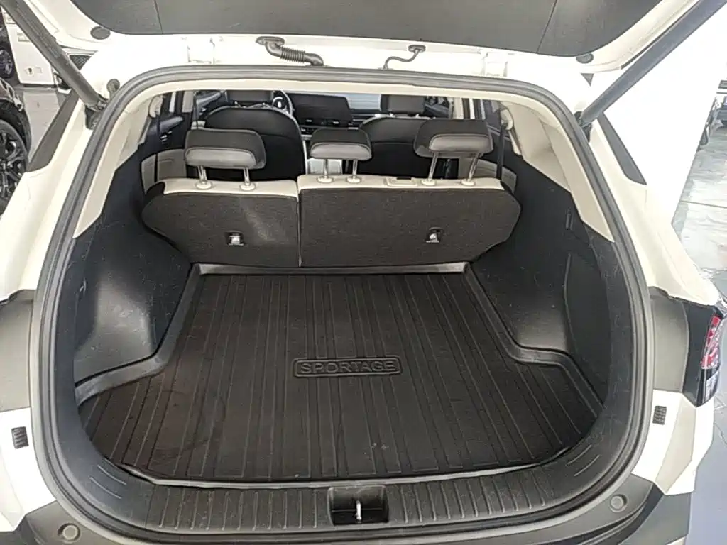 Kia Sportage 2023 2023 2.0L HEV 2WD Flagship Edition