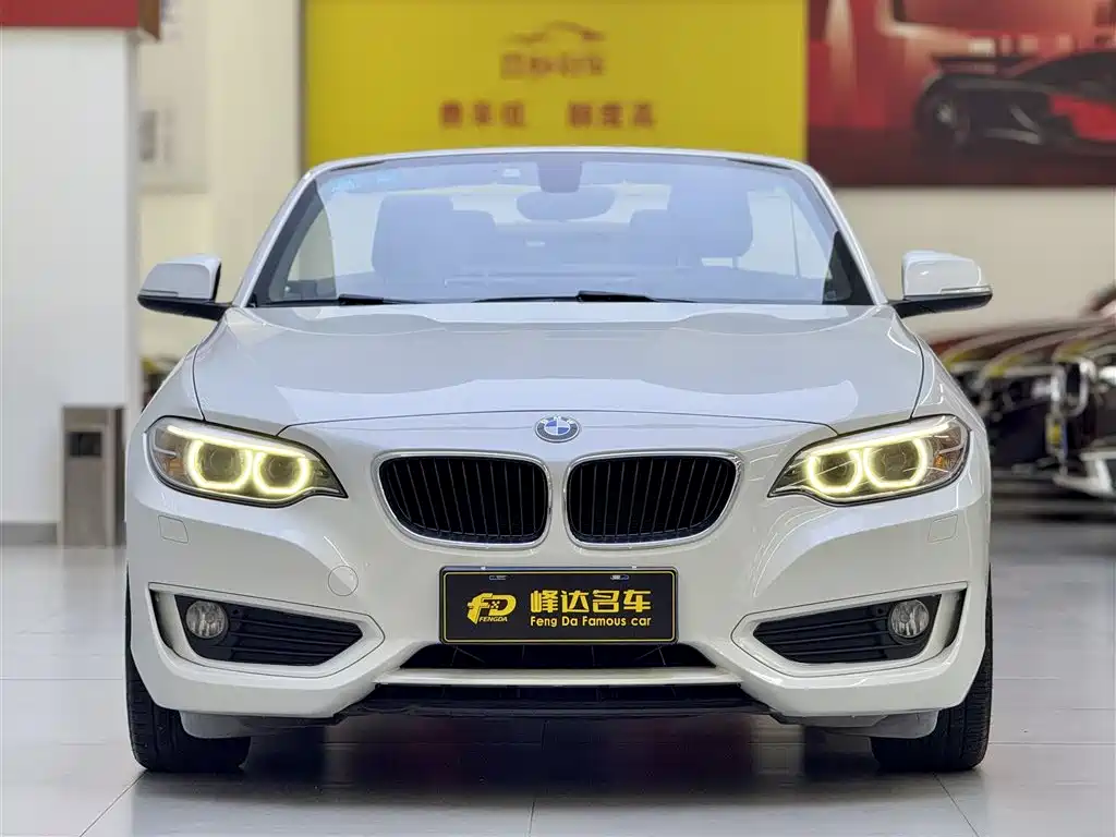BMW 2 Series (Import) 2017 220i Convertible Coupe Leading фото 2