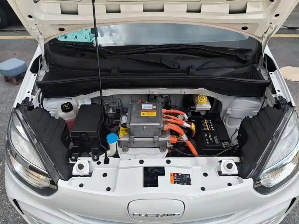 Roewe Kaiwei CLEVER 2023 2022 311km Vitality Bobo Edition