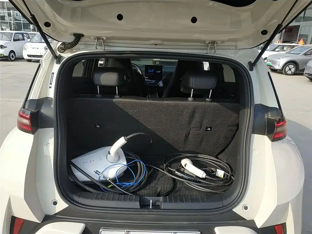 BYD Seagull 2025 Smart Drive Edition 305km Vitality Version фото 19