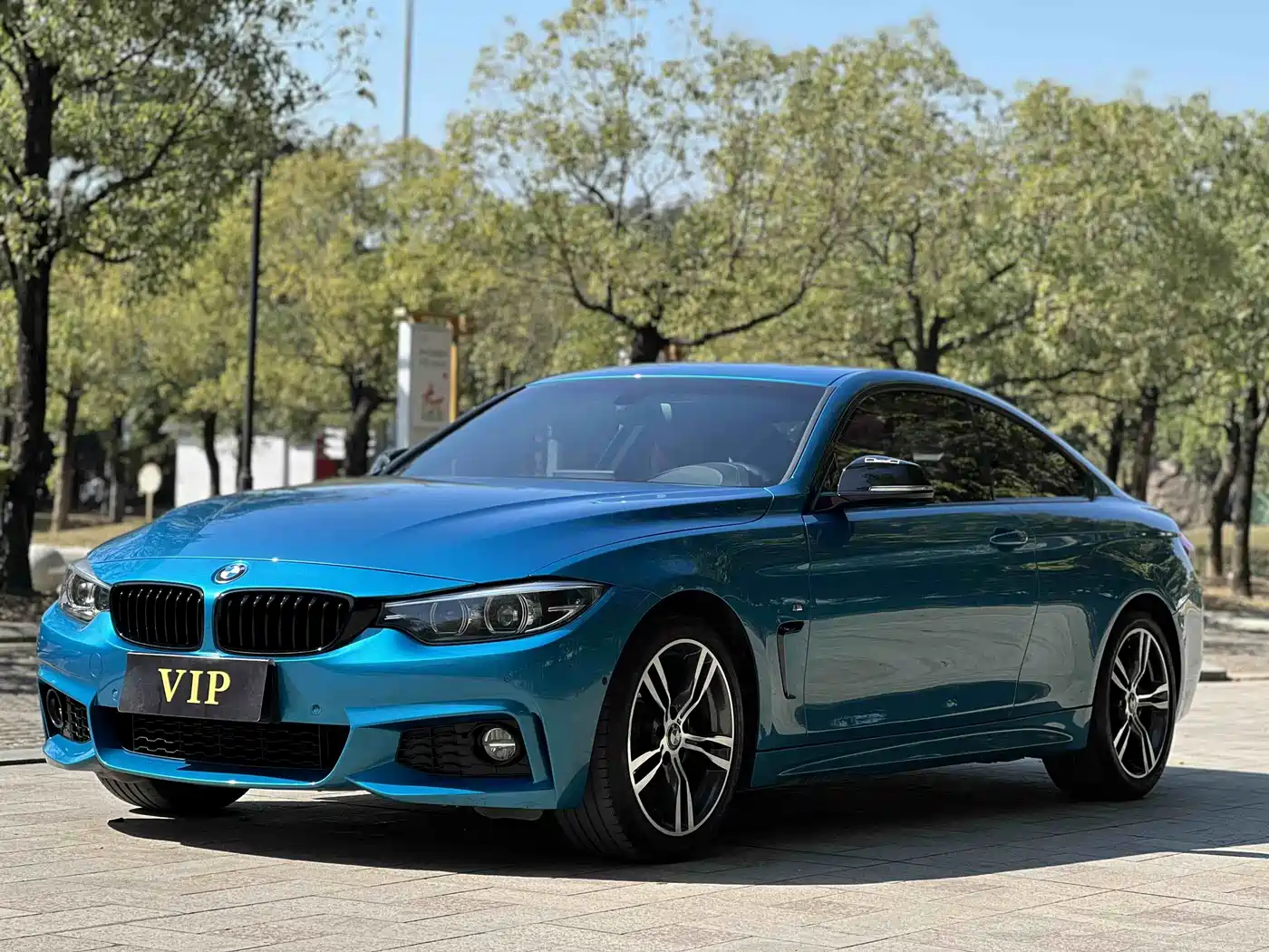 BMW 4 Series 2019 425i M Sport Shadow Edition фото 12