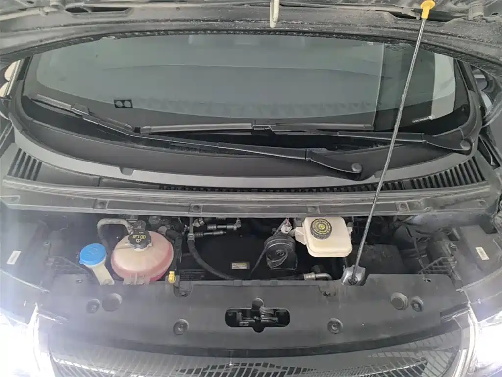 BYD Dolphin 2023 401km Knight Edition фото 16
