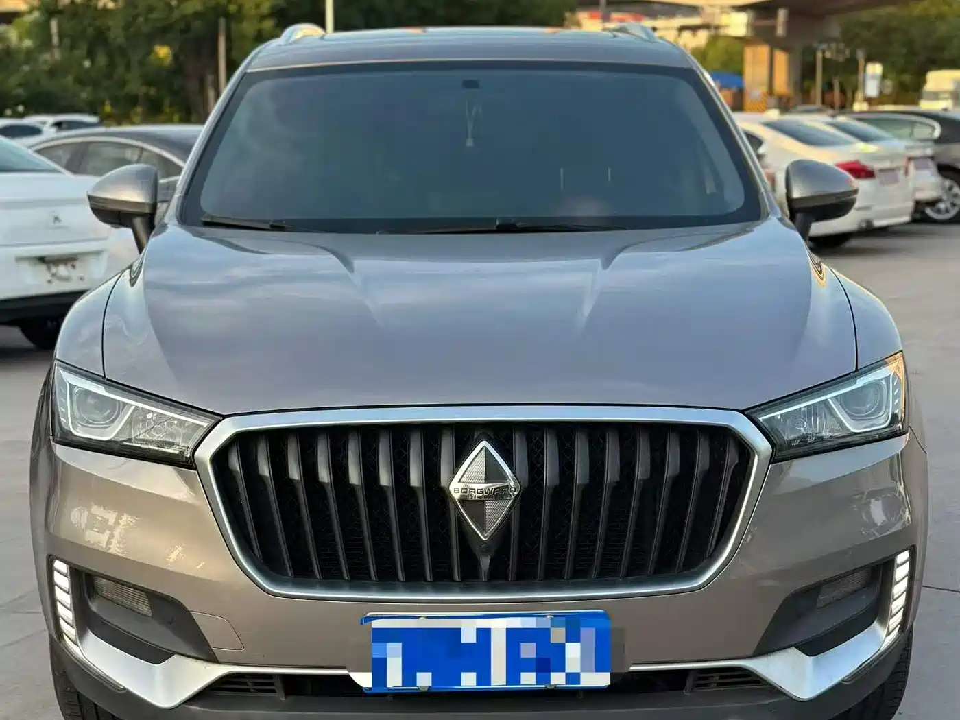 Borgward BX5 2019 2017 Model 20TGDI Automatic 2WD Vanguard Type