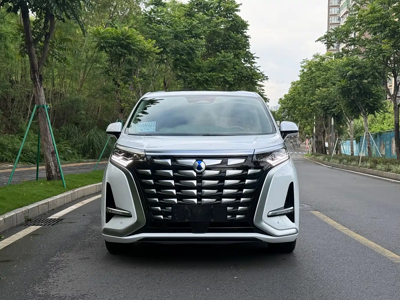 Denza D9 2022 DM-i 970 All-Wheel Drive Honor Edition фото 4