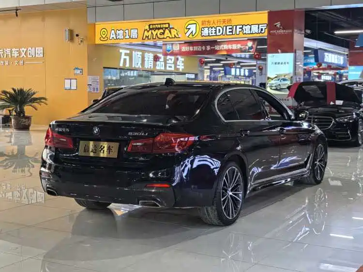 BMW 5 Series 2020 530Li Exclusive M Sport Package фото 19