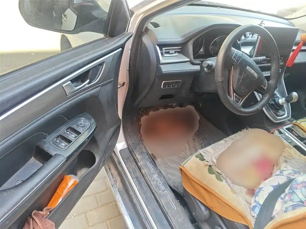 Haval M6 2021 PLUS 1.5T Manual Luxury Smart Connect фото 13