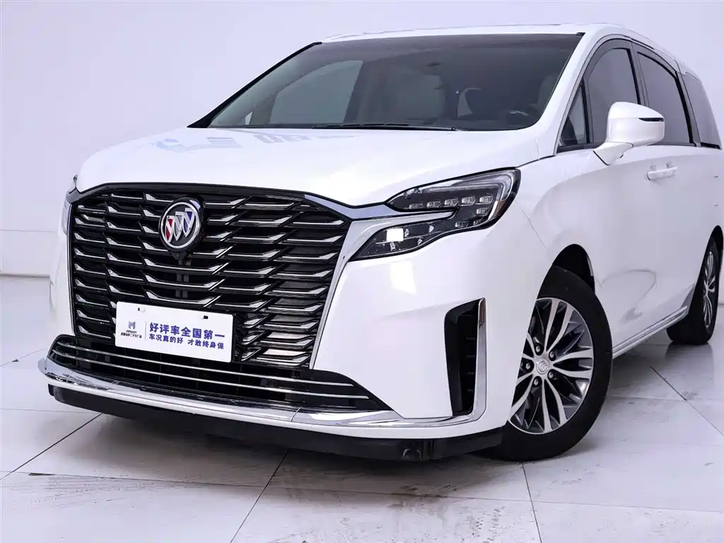 Buick GL8 2022 ES Landmark 653T Comfort фото 3
