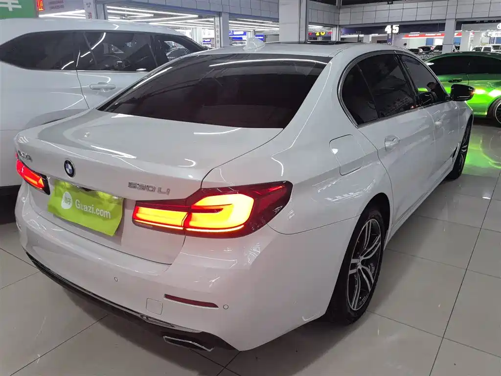 BMW 5 Series 2021 530Li Leading Luxury Package фото 7