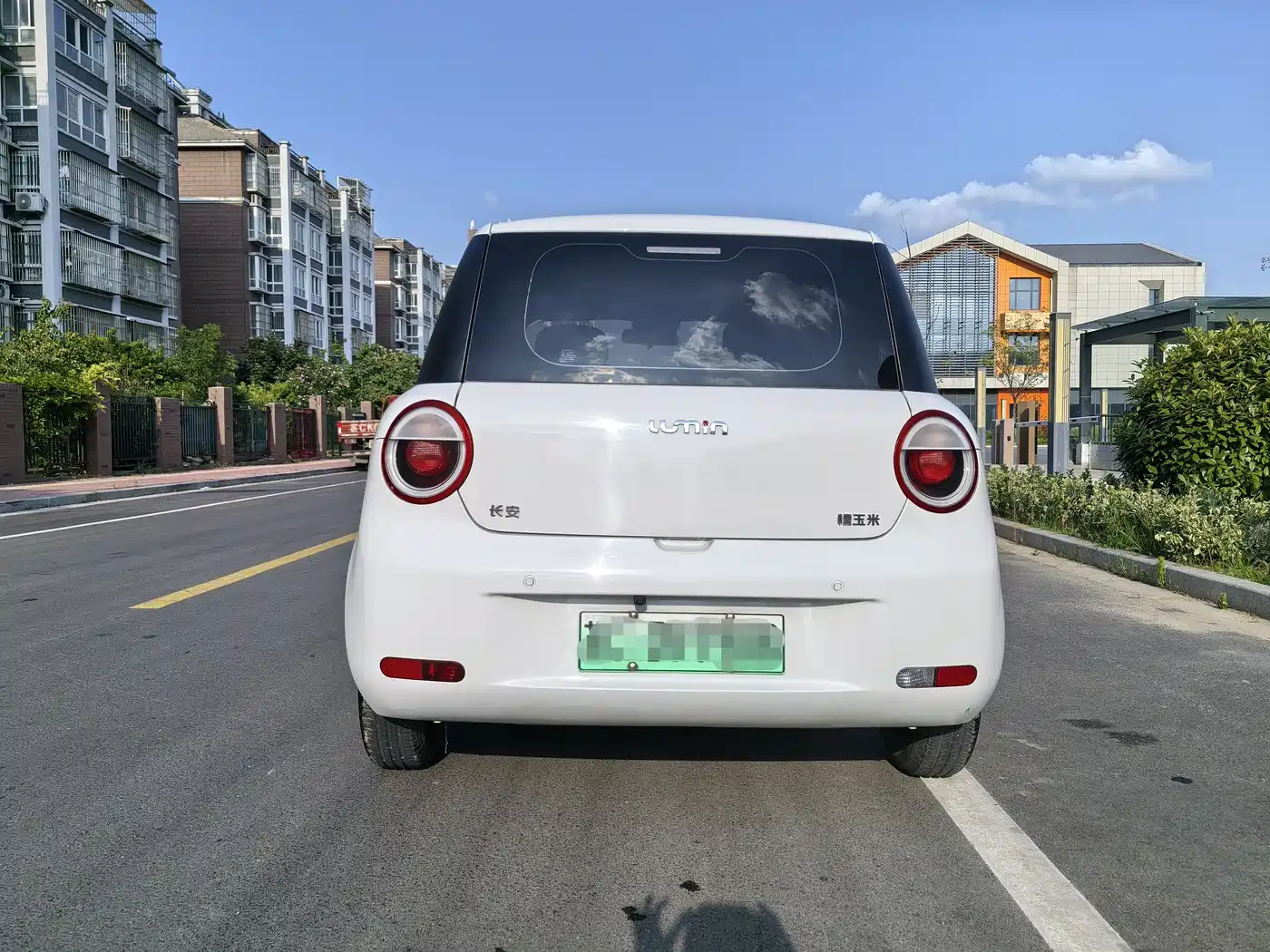 Changan Qiyuan Changan Lumin 2022 2022 210km Sweet Edition