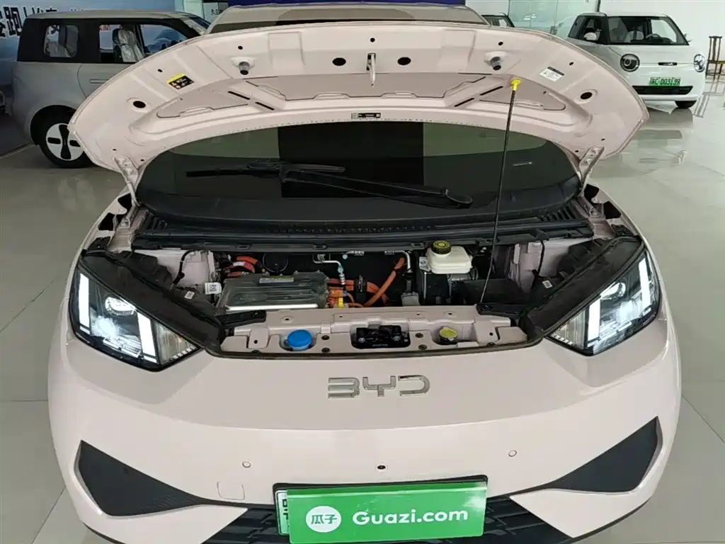 BYD Seagull 2025 Smart Drive Edition 305km Freedom Version фото 20