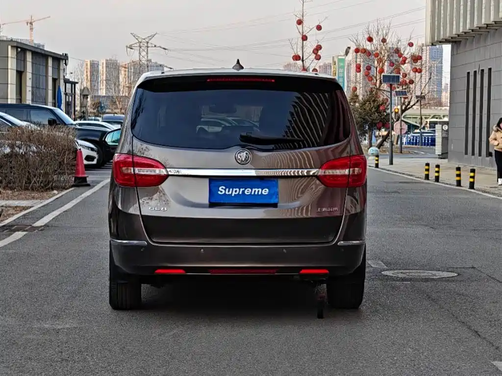Buick GL8 2015 2.4L Luxury Business Exclusive Edition фото 4