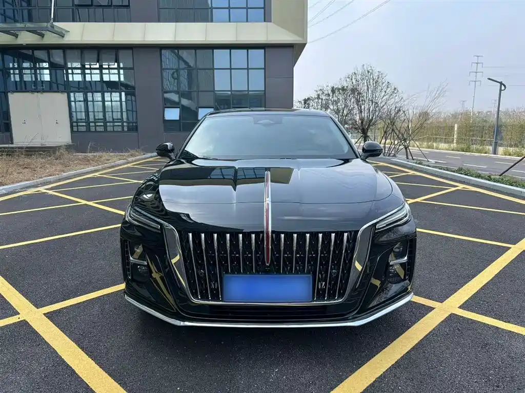 Hongqi H5 2025 2.0T Automatic Flag Celebration 500,000 Units Anniversary Edition фото 23