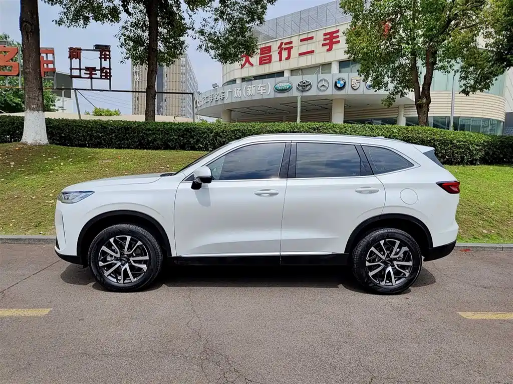Haval H6 2022 3rd Gen 1.5T Auto 2WD Max фото 3