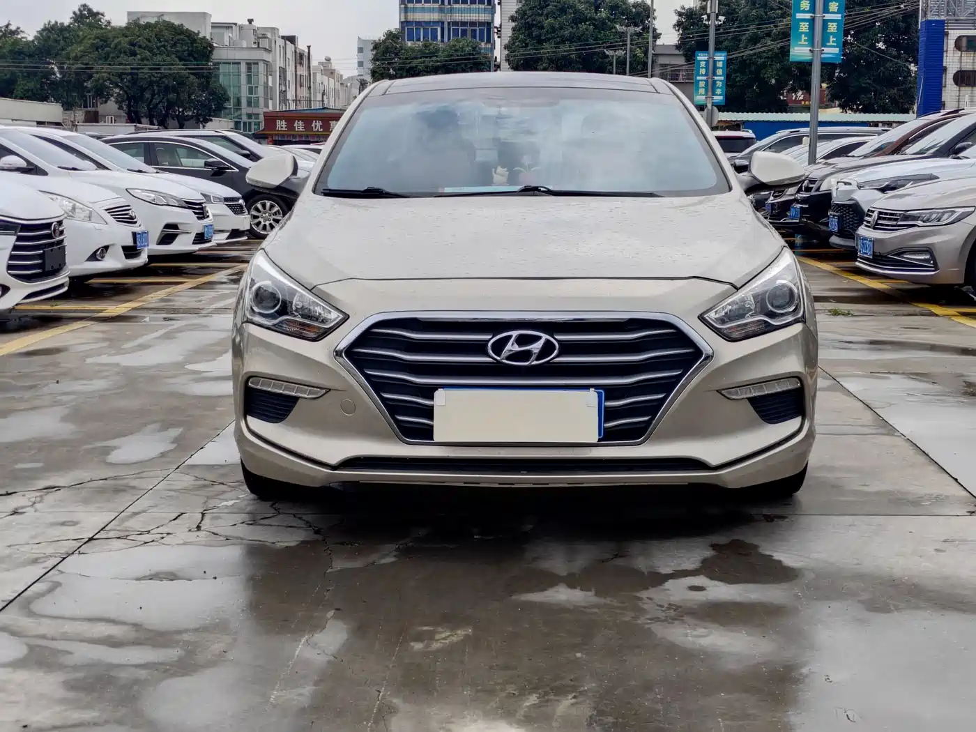 HYUNDAI NAME PICTURE
