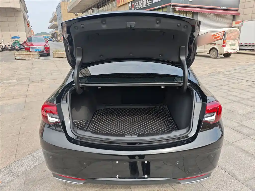 Buick Regal 2024 25T Ultra Comfort Edition фото 19