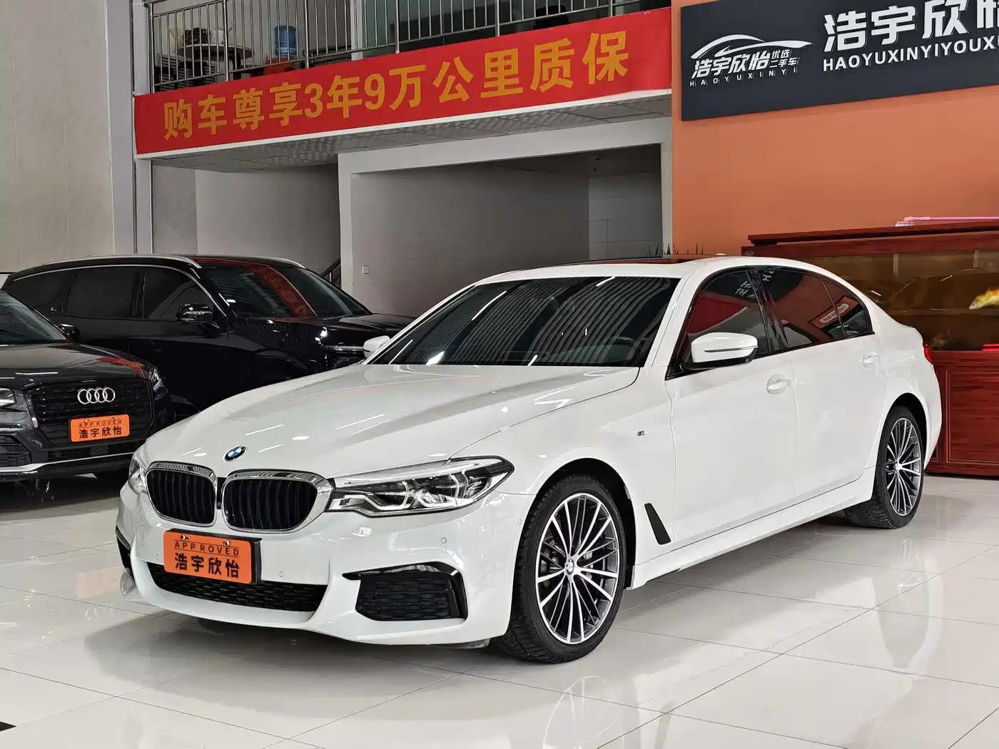 BMW 5 Series 2019 530Li Premium M Sport Package