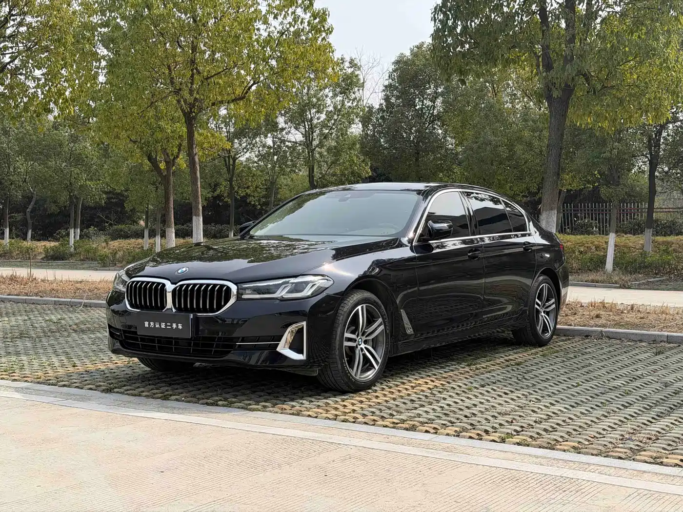 BMW 5 Series 2022 530Li Leading Luxury Package