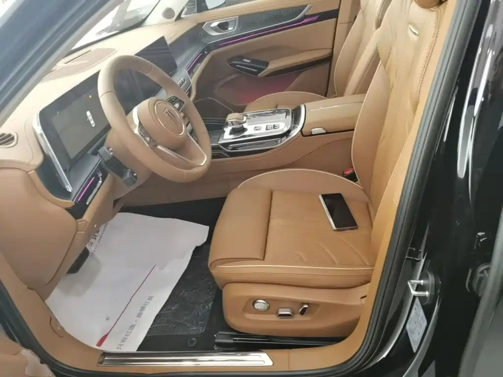 Photo 15 - Hongqi H9