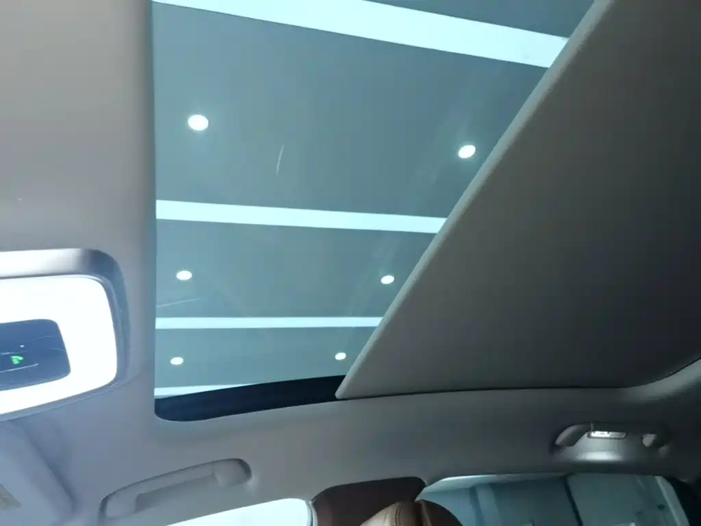 Photo 18 - Hongqi H9