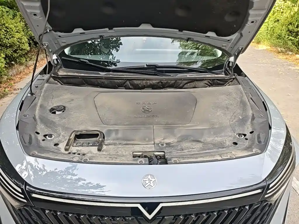 Venucia DaV DD-i 2023 2023 110km iE Edition