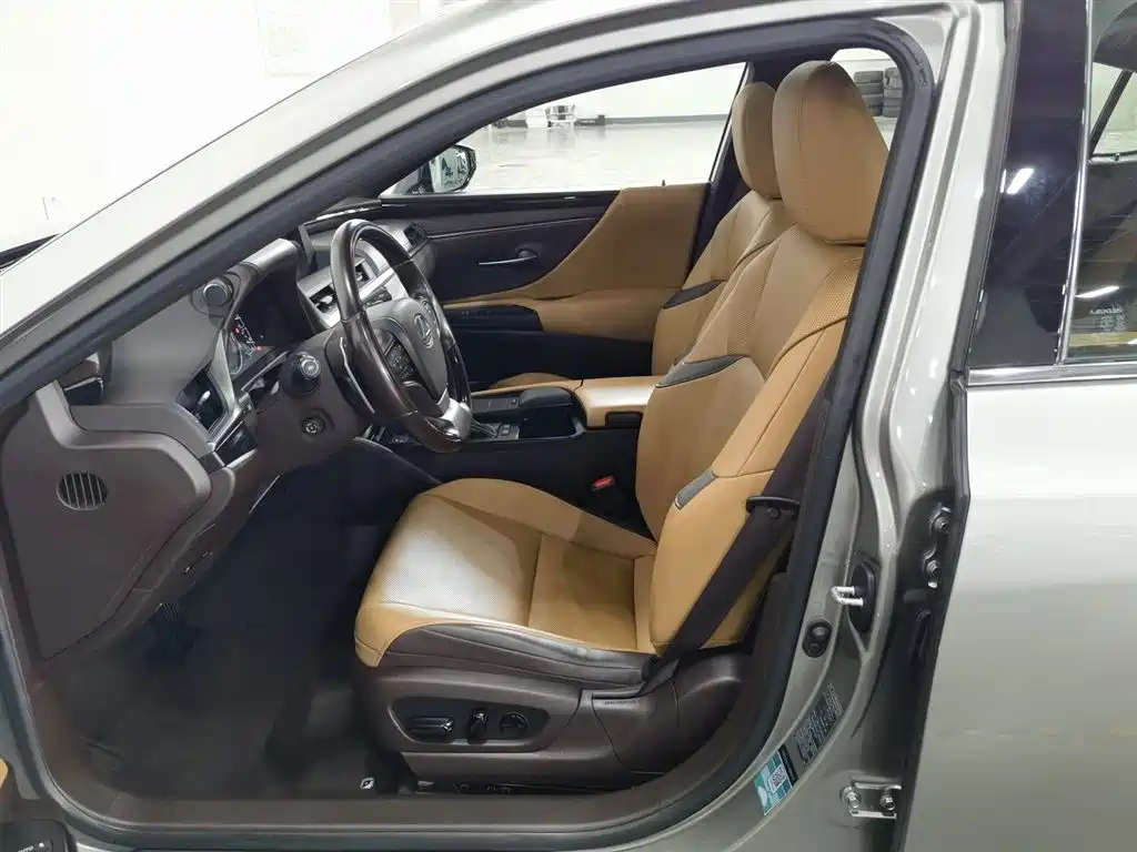 Lexus ES 2020 200 Luxury фото 10