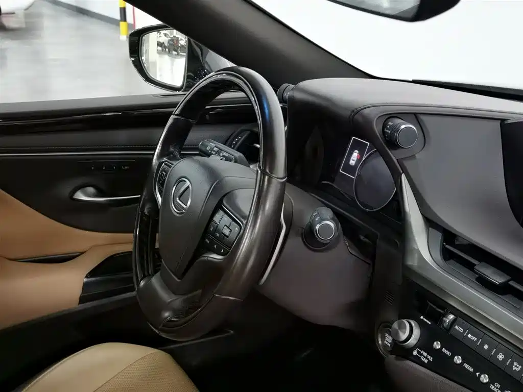 Lexus ES 2020 200 Luxury фото 22