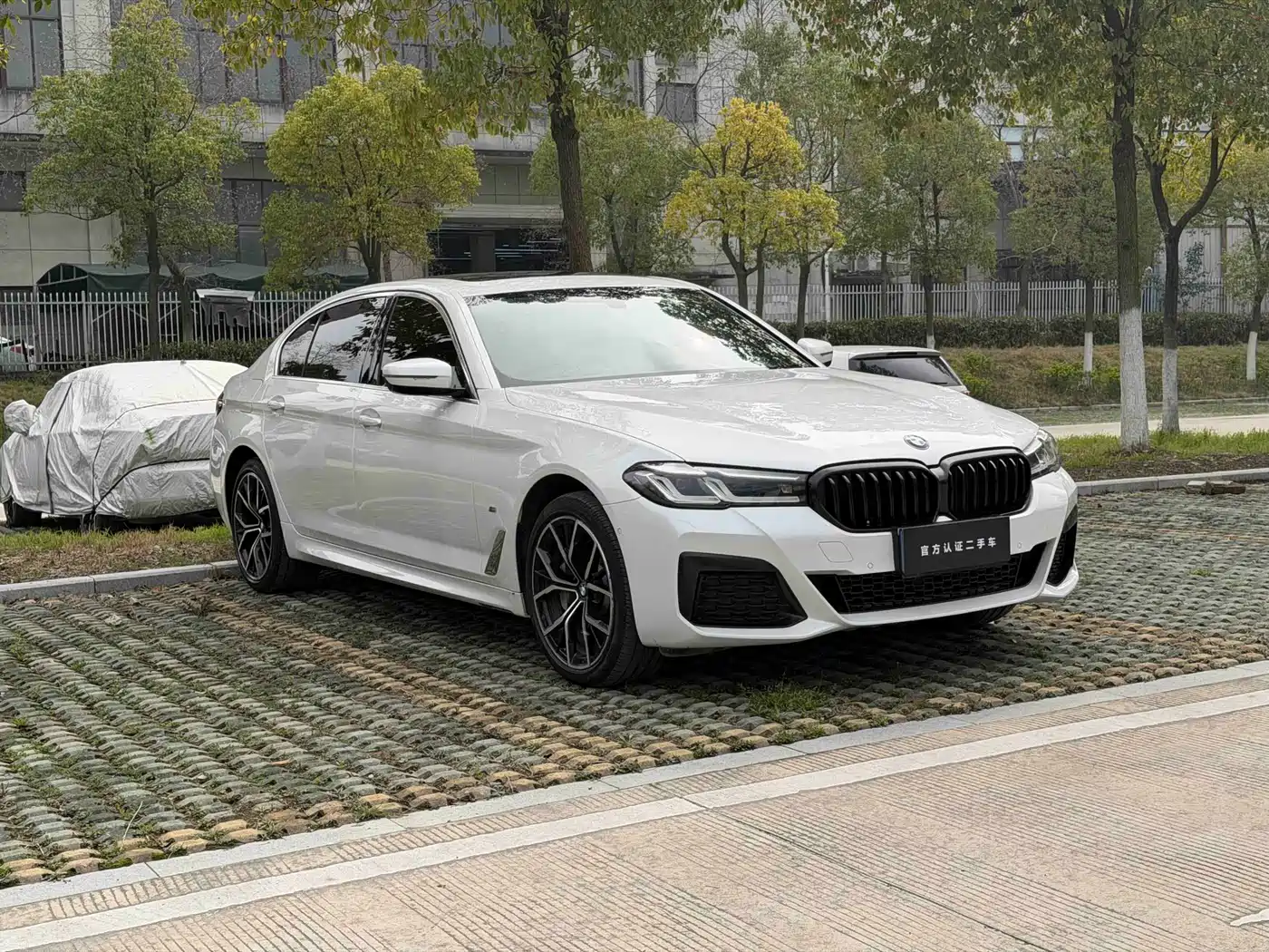 BMW 5 Series 2021 530Li Leading M Sport Package фото 3