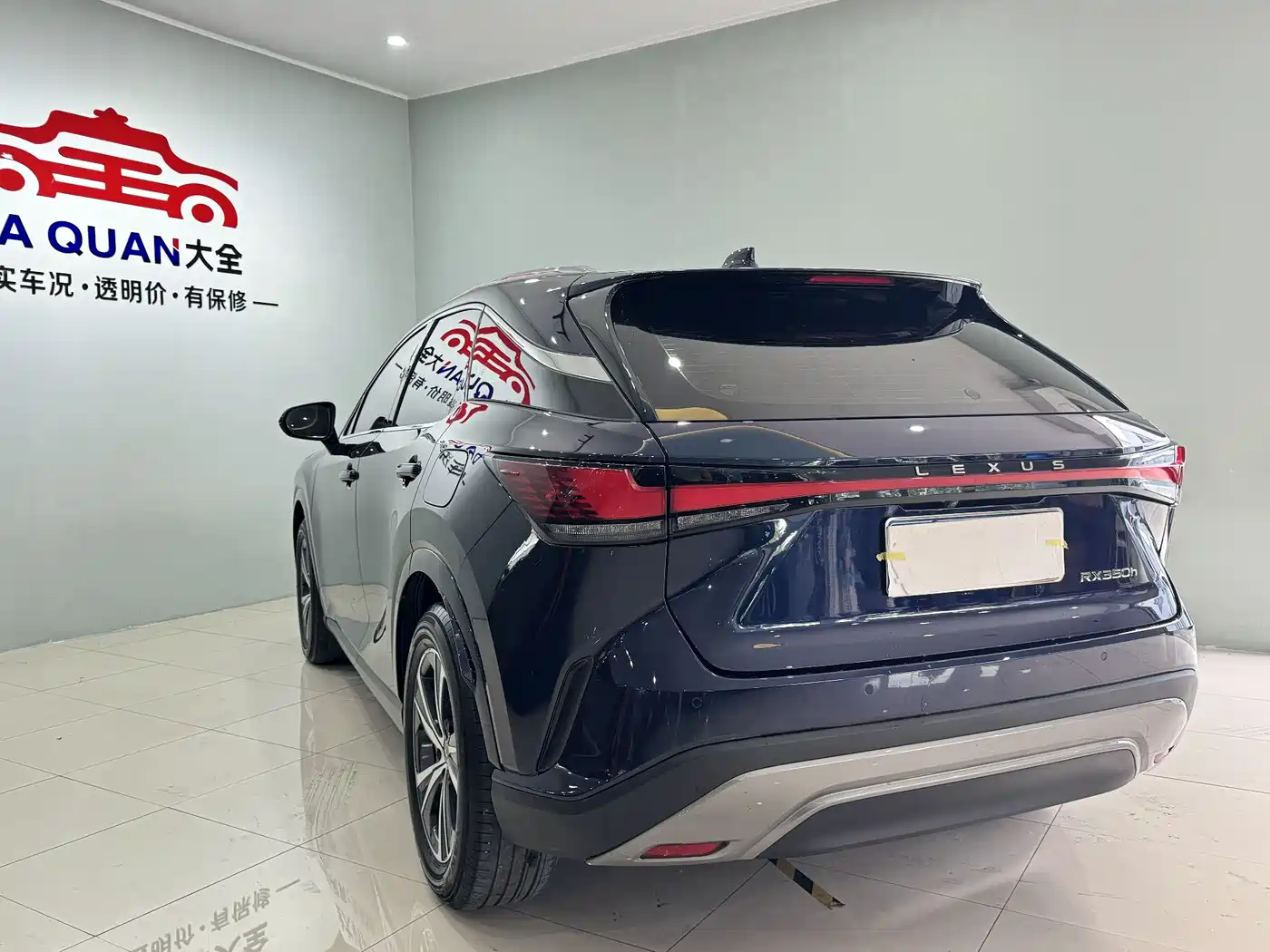 Lexus RX 2023 350h 2WD Comfort Edition фото 16