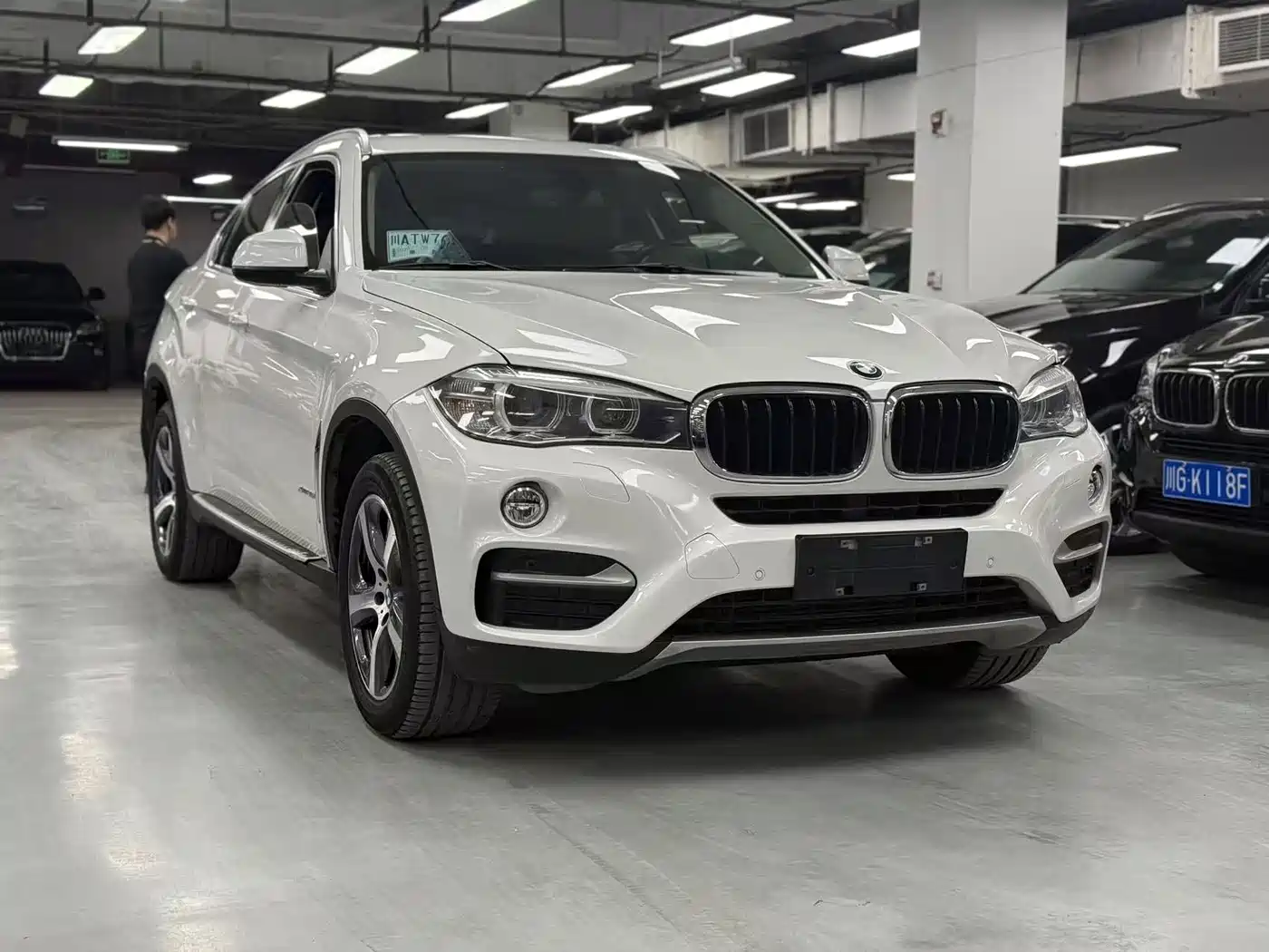 BMW X6 2015 xDrive35i Leading Type фото 3
