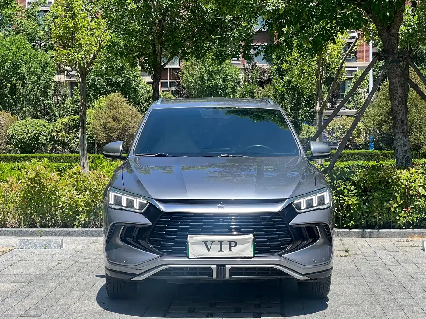 BYD Song Pro New Energy 2024 Glory Edition DM-i 71KM Pilot фото 2