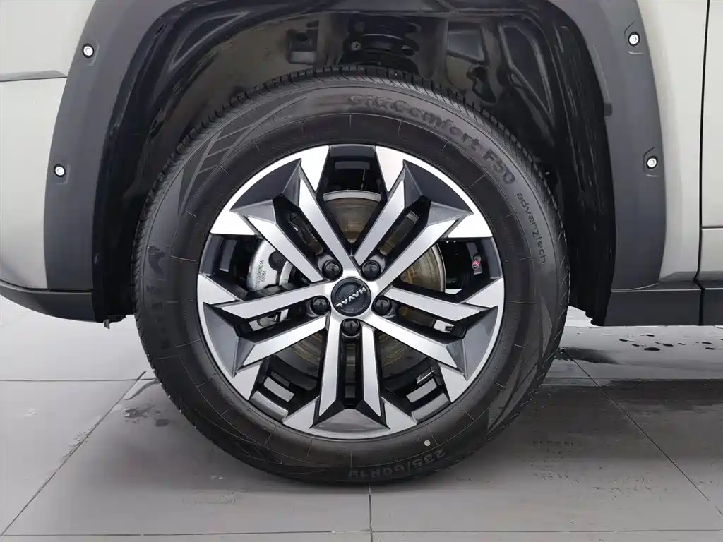 HAVAL BIG DOG PLUS
