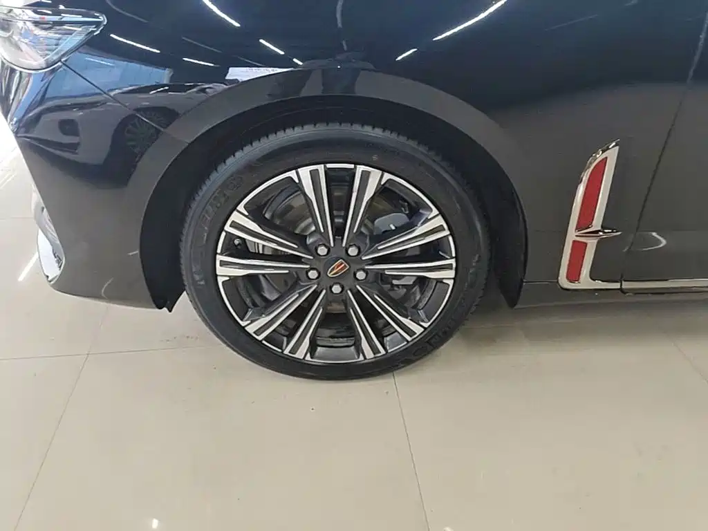 Hongqi H9 2025 2024 2.0T Qi Enjoy Private Fashion Edition