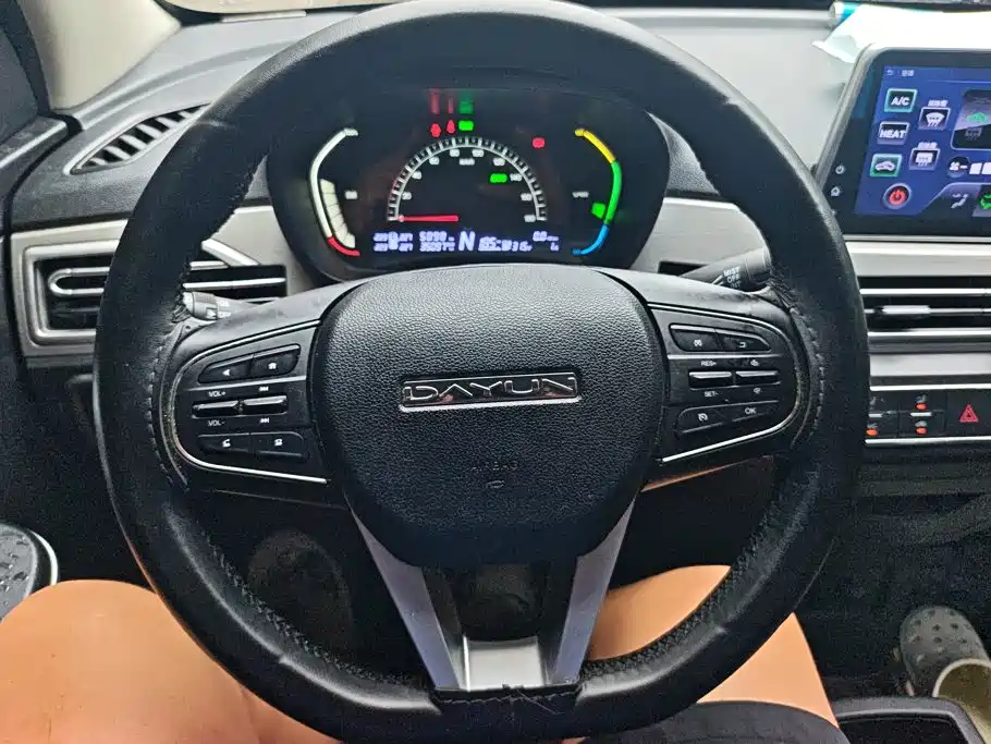 Dayun Yuehu 2022 2022 300 Standard