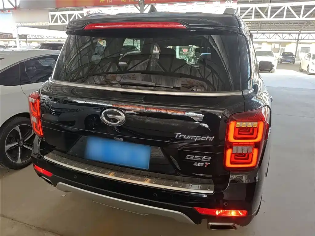 GAC Trumpchi Trumpchi GS8 2017 320T 2WD Luxury Smart Connect (7-seater) фото 6