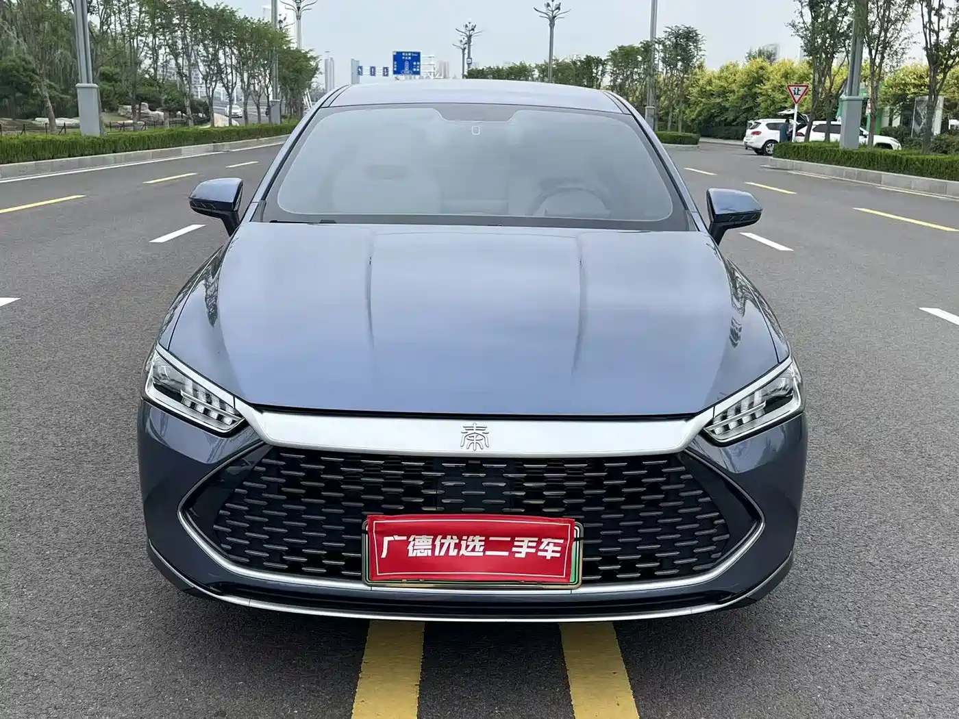 BYD Qin PLUS 2023 Champion Edition DM-i 55KM Leading