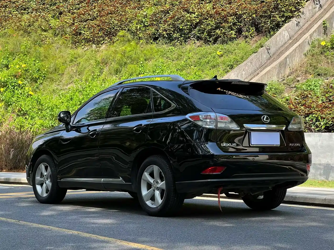 Lexus RX Classic 2011 270 Luxury фото 9