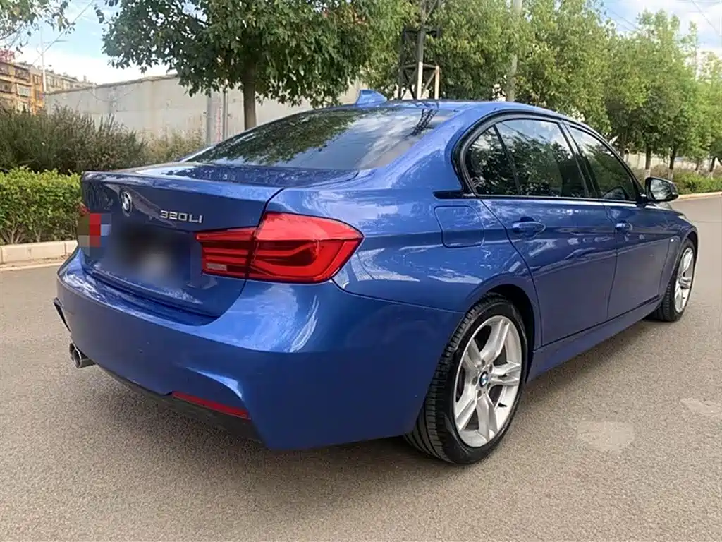 BMW 3 Series 2018 320Li Leading M Sport Package фото 9