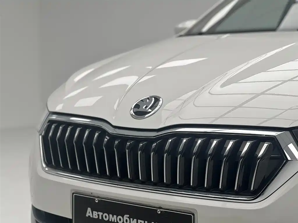 SKODA XIN RUI