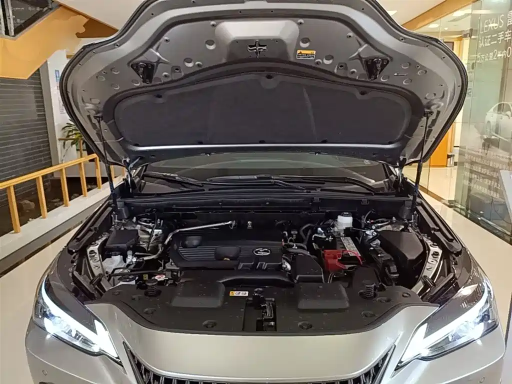 Lexus NX 2024 260 FWD Joy Creation Edition фото 19