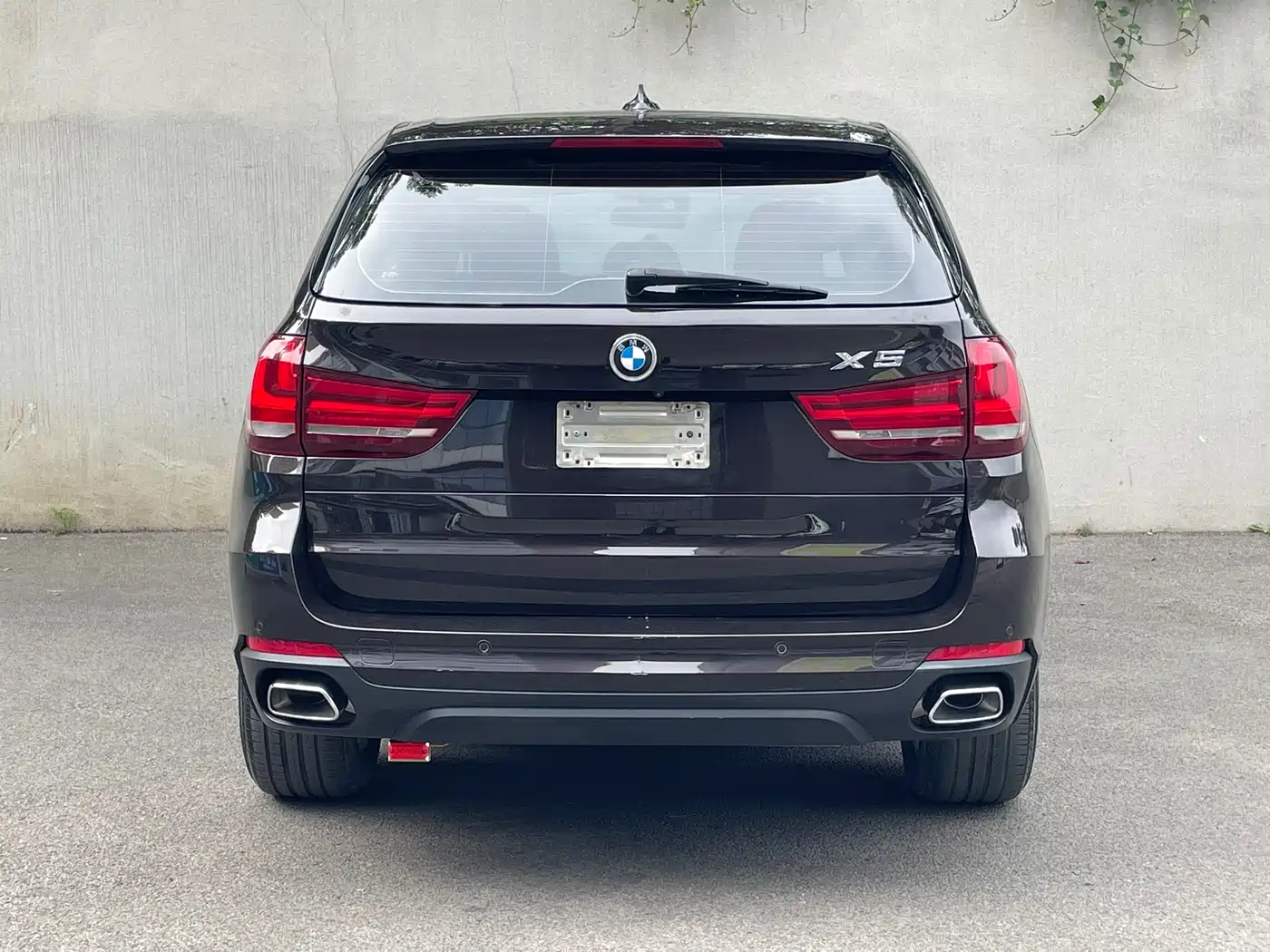 BMW X5 (Import) 2018 xDrive35i Elegant Model фото 6
