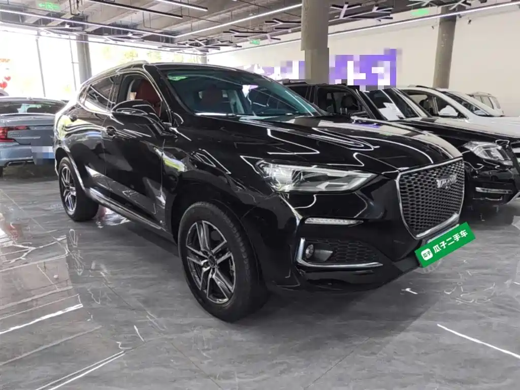 Haval F5 2019 National Trend Edition 1.5T iStyle China VI фото 4