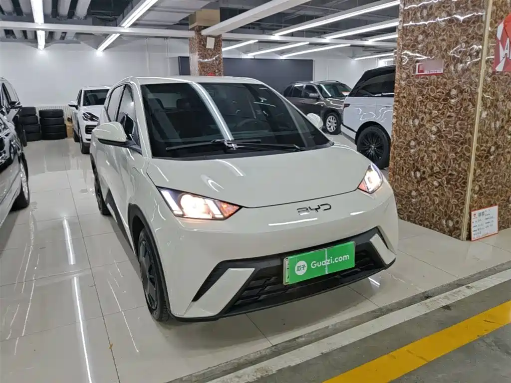 BYD Seagull 2025 305km Vitality фото 4
