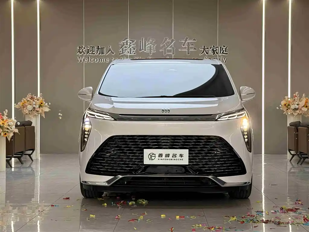 Buick Century 2025 2.0T 7-Seater World Edition фото 2