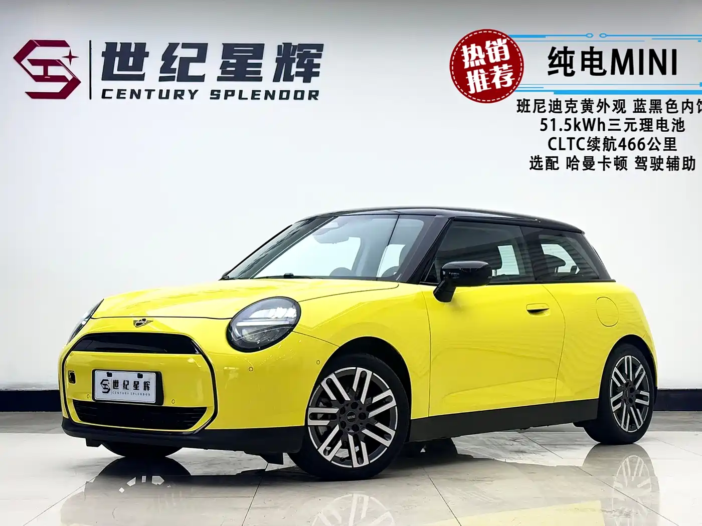 MINI ELECTRIC  COOPER