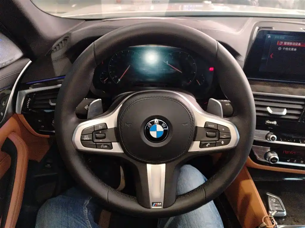 BMW 5 Series 2019 530Li Leading M Sport Package фото 7