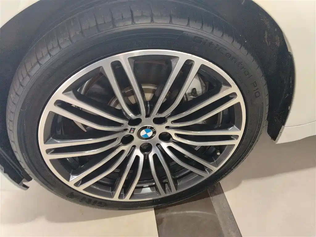 BMW 5 Series 2019 530Li Leading M Sport Package фото 25