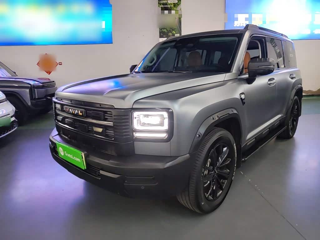 Haval Meng Long NEV