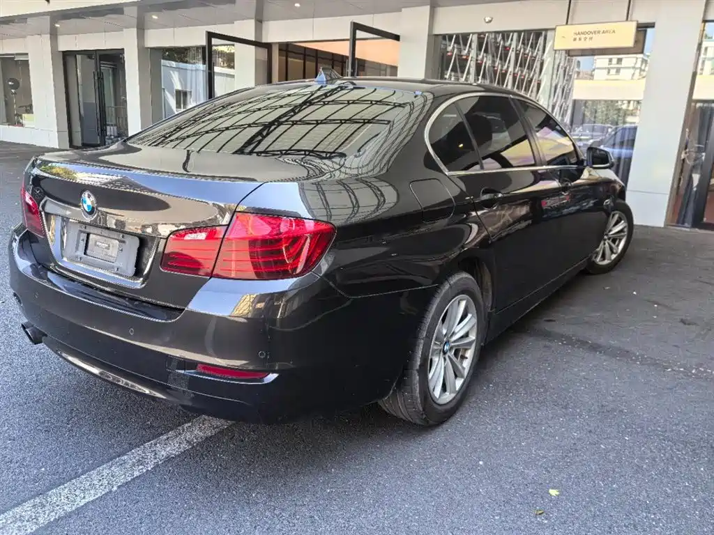 BMW 5 Series 2014 520Li Elegance фото 4